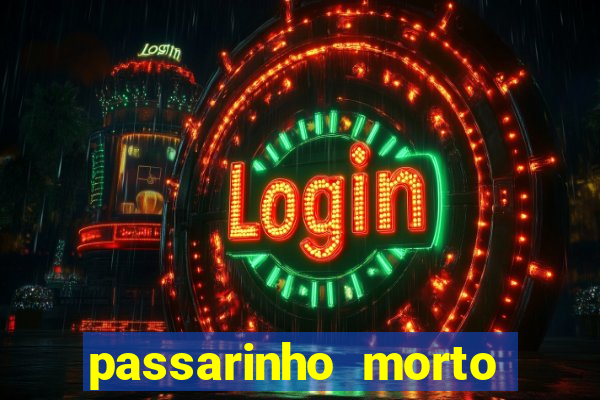 passarinho morto significado espiritual